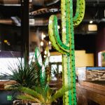 ANGRYCACTUS-0018.jpg